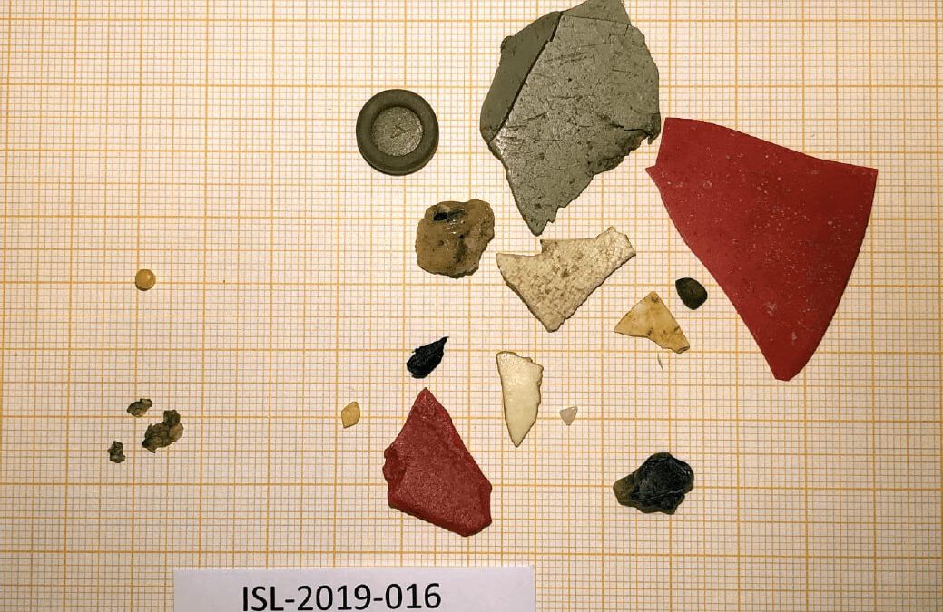 64% fýla með plast í meltingarvegi