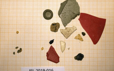 64% fýla með plast í meltingarvegi