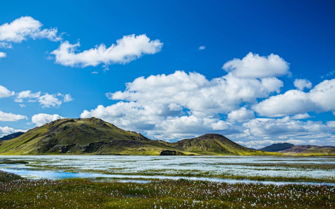 Alþjóðlegi Umhverfisdagurinn 2021
