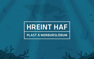Nýútkomin rafbók um plast: Hreint haf – Plast á norðurslóðum