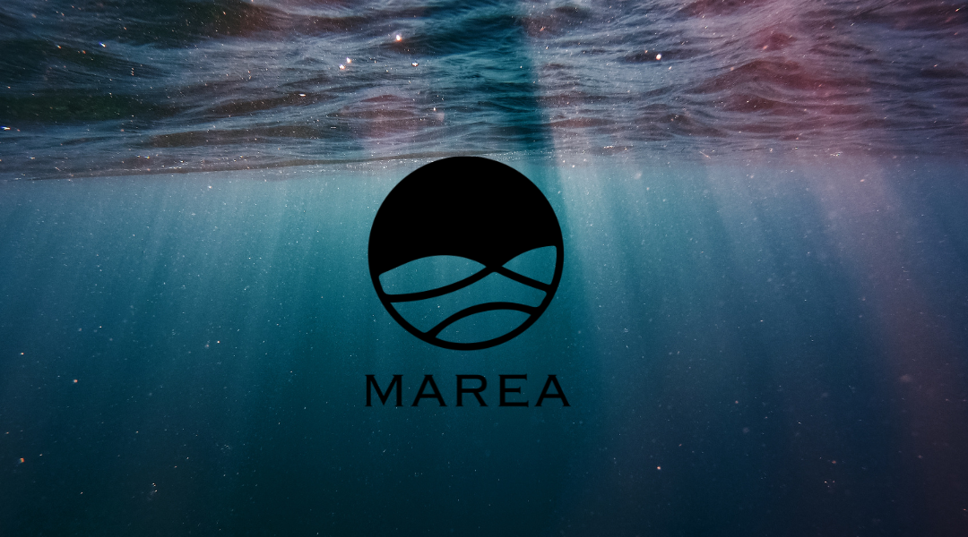 Marea er í úrslitahópi Bláskeljarinnar