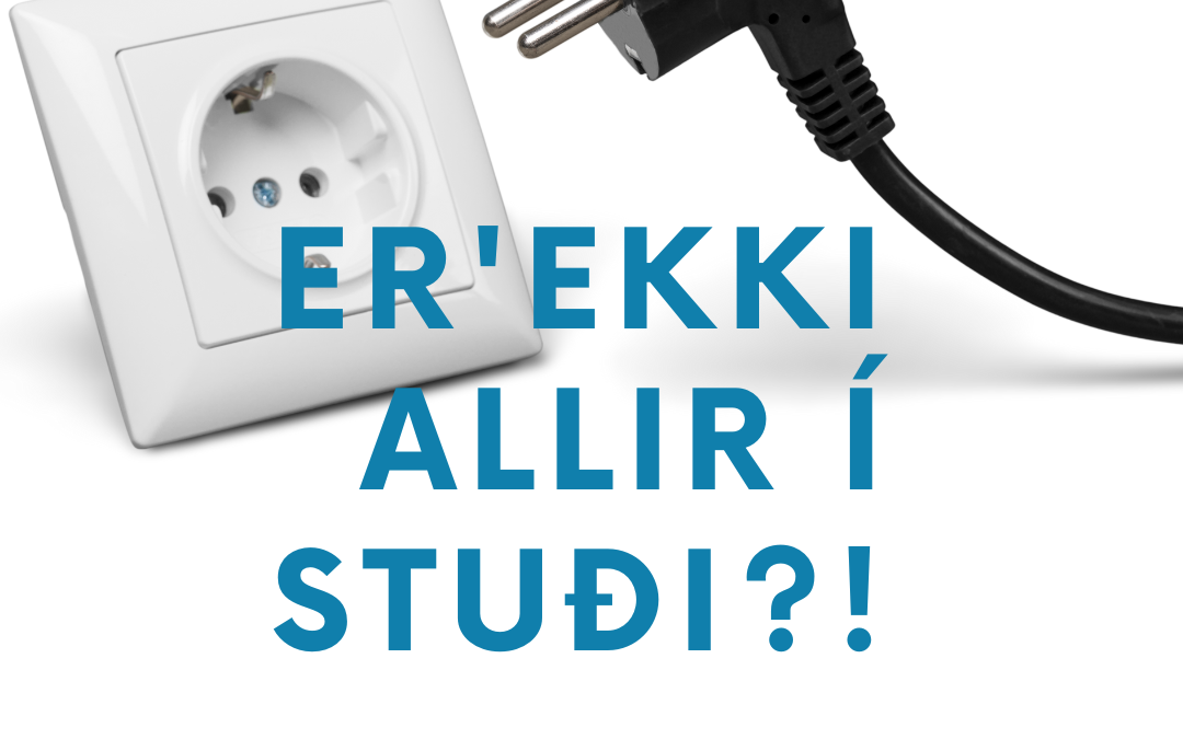 Er‘ekki allir í stuði?! Hagsmunaaðilafundur um raftæki