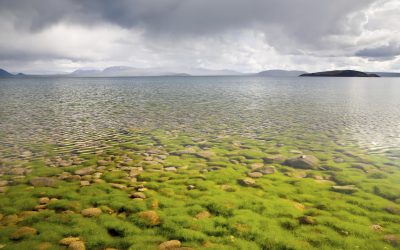 Kallað eftir umsögnum um drög að nýrri stefnu og aðgerðaráætlun í úrgangsforvörnum