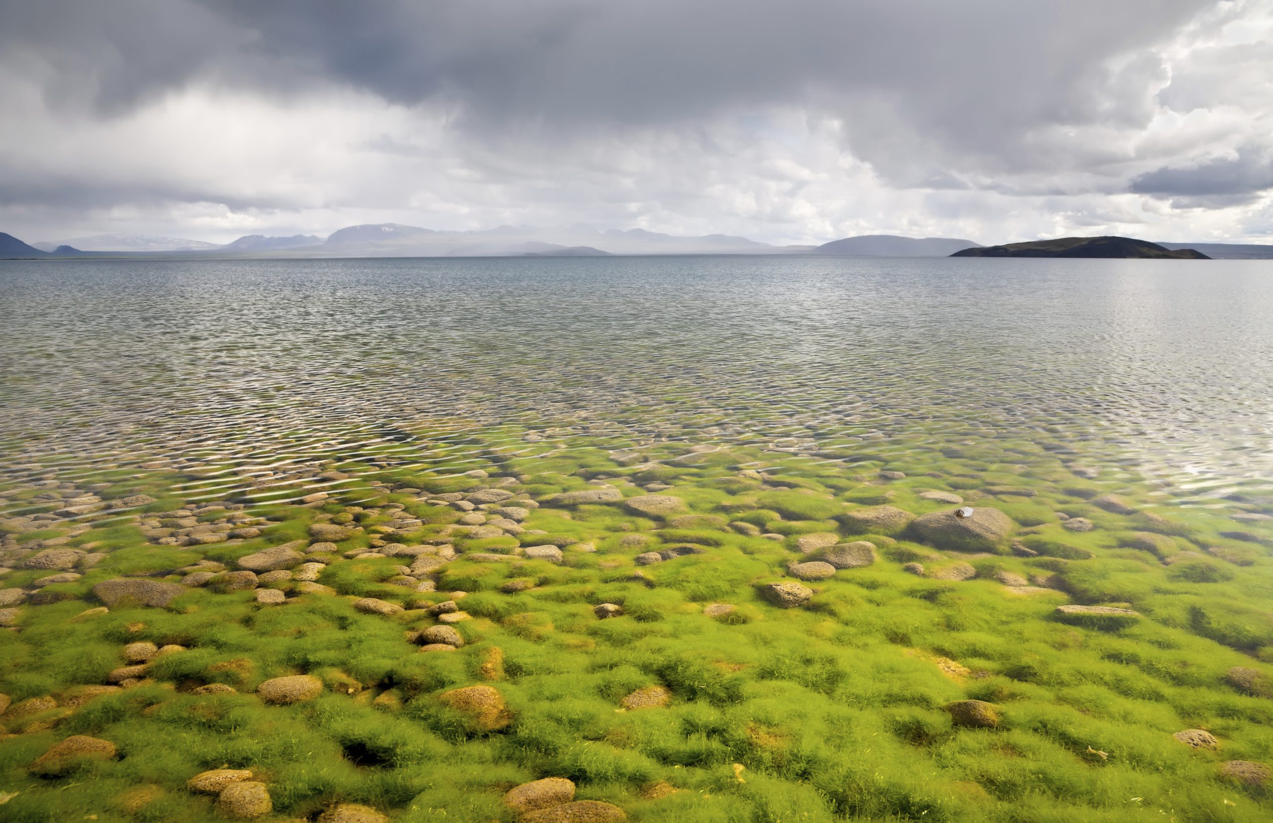 Stones and algae seen through the water